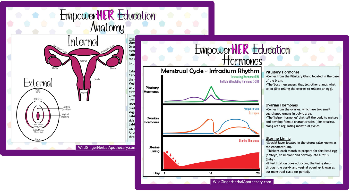 Free Download for women's education on anatomy and hormones