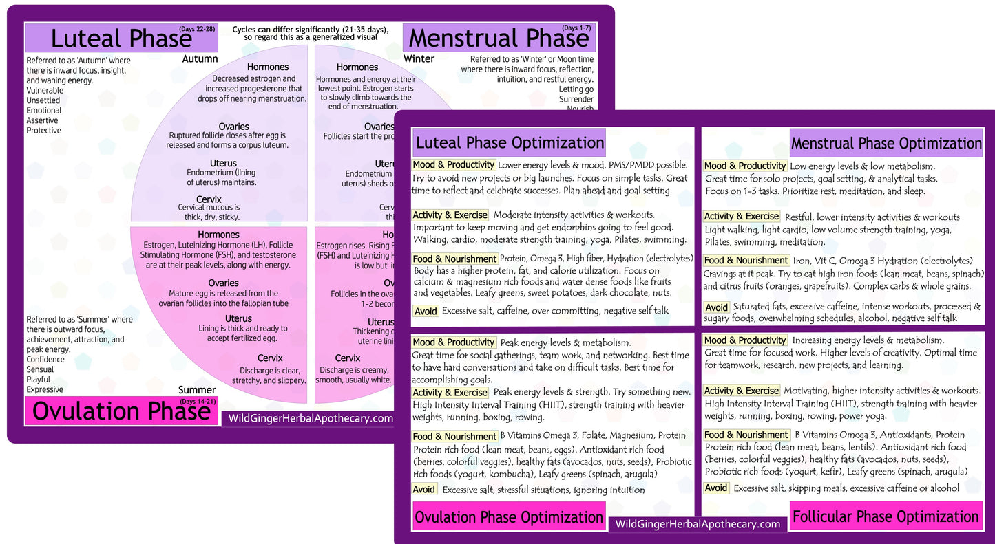 Free Download for women's education on menstrual cycle phases and optimization tips